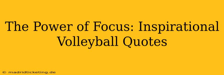 The Power of Focus: Inspirational Volleyball Quotes