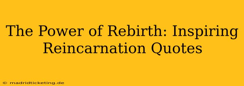 The Power of Rebirth: Inspiring Reincarnation Quotes