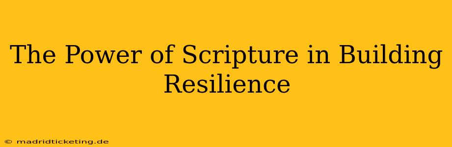 The Power of Scripture in Building Resilience
