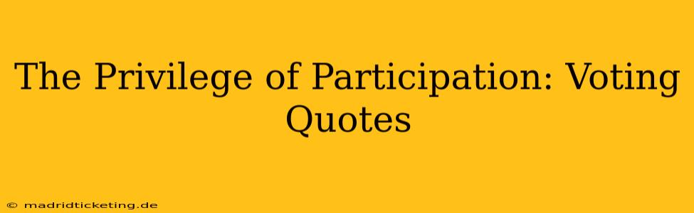 The Privilege of Participation: Voting Quotes