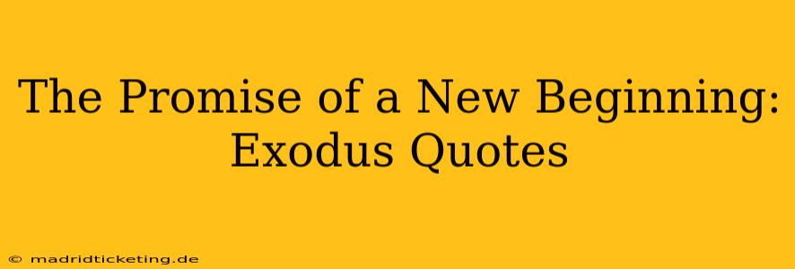 The Promise of a New Beginning: Exodus Quotes