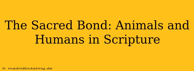 The Sacred Bond: Animals and Humans in Scripture
