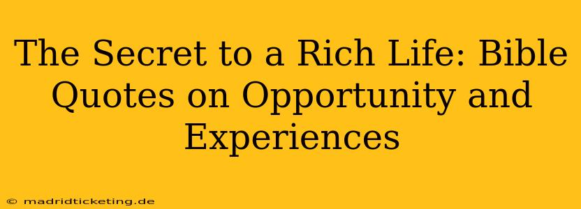 The Secret to a Rich Life: Bible Quotes on Opportunity and Experiences