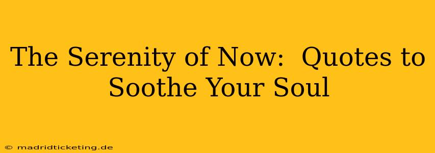 The Serenity of Now:  Quotes to Soothe Your Soul