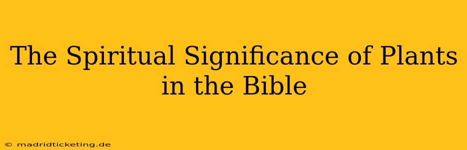 The Spiritual Significance of Plants in the Bible