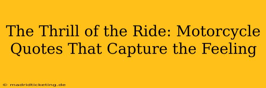 The Thrill of the Ride: Motorcycle Quotes That Capture the Feeling