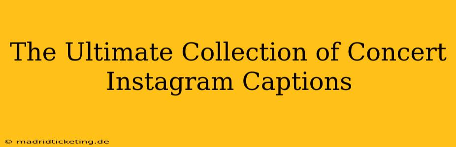 The Ultimate Collection of Concert Instagram Captions