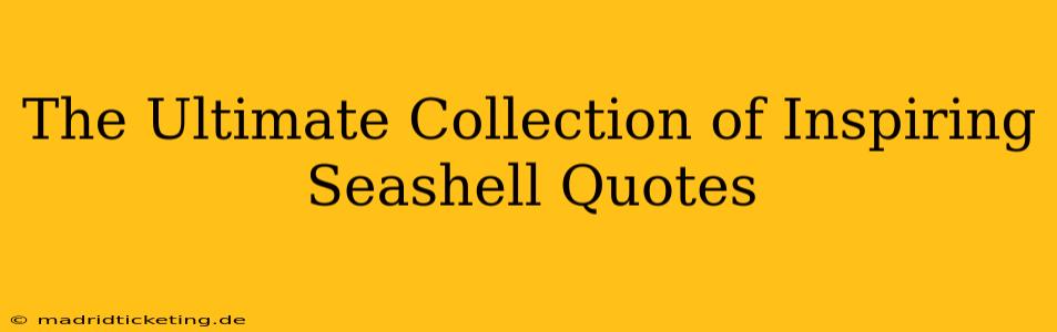 The Ultimate Collection of Inspiring Seashell Quotes