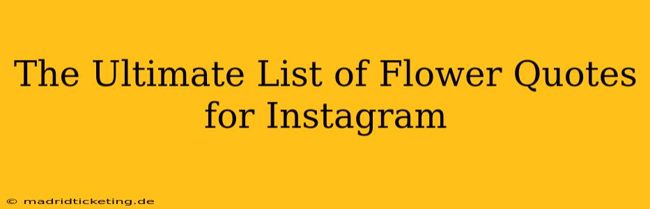 The Ultimate List of Flower Quotes for Instagram