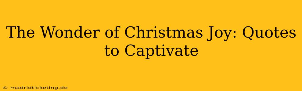 The Wonder of Christmas Joy: Quotes to Captivate