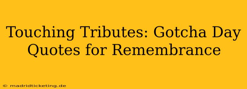Touching Tributes: Gotcha Day Quotes for Remembrance