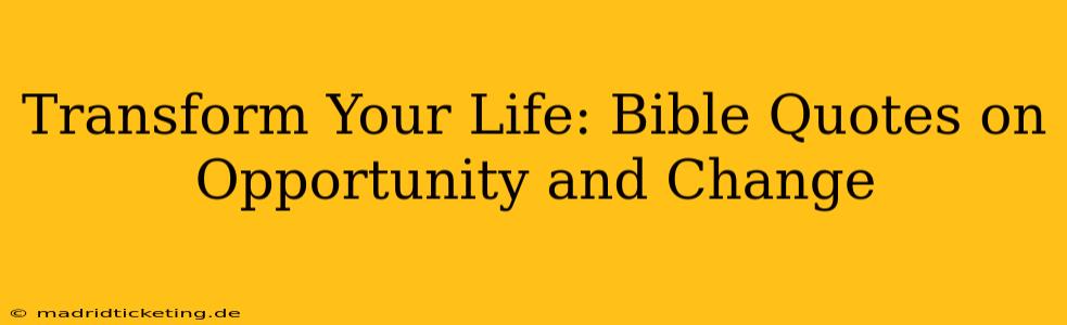 Transform Your Life: Bible Quotes on Opportunity and Change