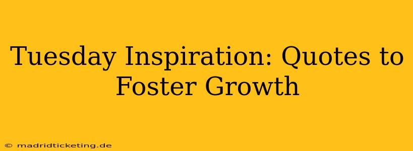 Tuesday Inspiration: Quotes to Foster Growth