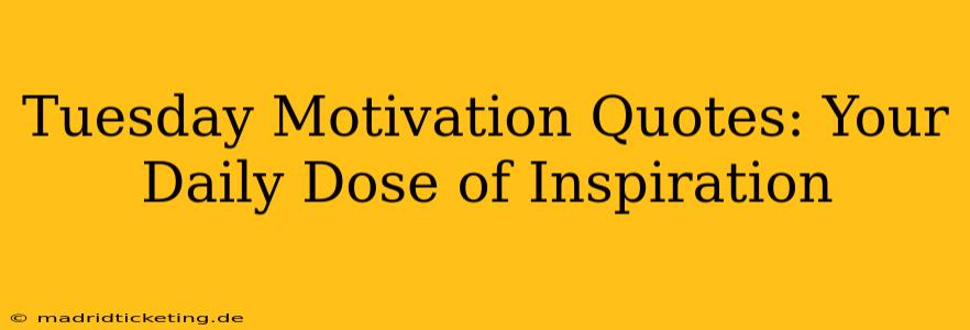 Tuesday Motivation Quotes: Your Daily Dose of Inspiration