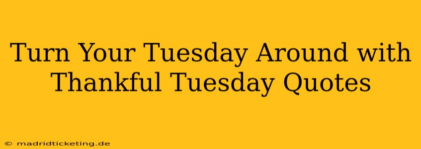 Turn Your Tuesday Around with Thankful Tuesday Quotes