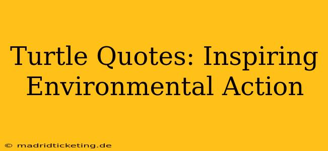 Turtle Quotes: Inspiring Environmental Action