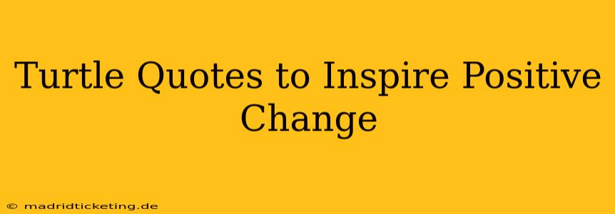 Turtle Quotes to Inspire Positive Change