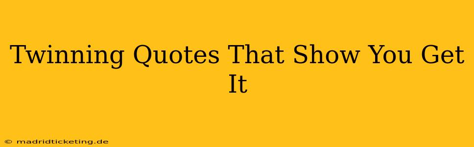 Twinning Quotes That Show You Get It