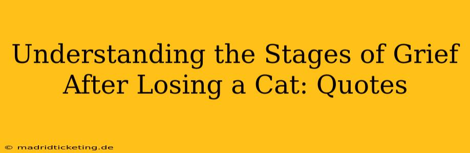 Understanding the Stages of Grief After Losing a Cat: Quotes