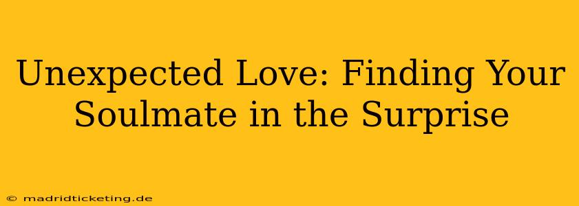 Unexpected Love: Finding Your Soulmate in the Surprise