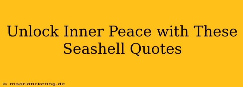 Unlock Inner Peace with These Seashell Quotes