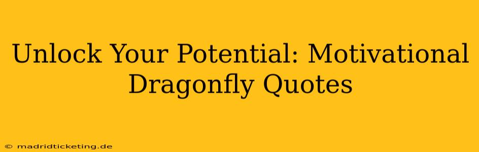 Unlock Your Potential: Motivational Dragonfly Quotes