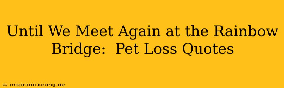 Until We Meet Again at the Rainbow Bridge:  Pet Loss Quotes