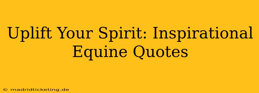 Uplift Your Spirit: Inspirational Equine Quotes