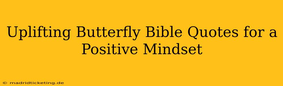 Uplifting Butterfly Bible Quotes for a Positive Mindset