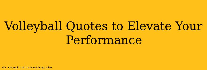Volleyball Quotes to Elevate Your Performance
