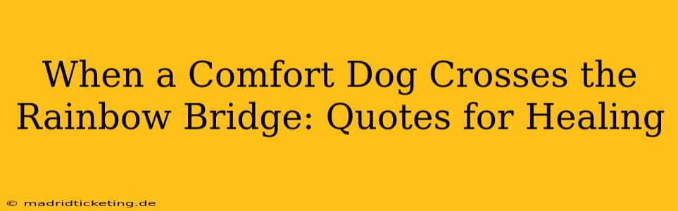 When a Comfort Dog Crosses the Rainbow Bridge: Quotes for Healing