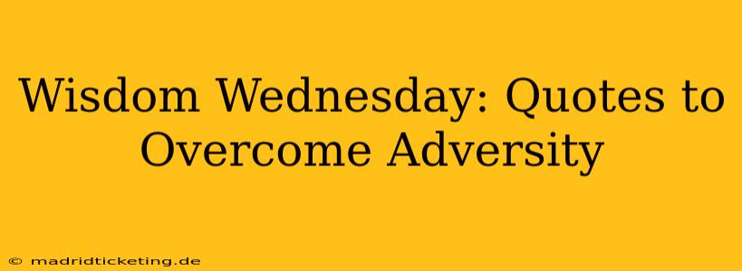 Wisdom Wednesday: Quotes to Overcome Adversity
