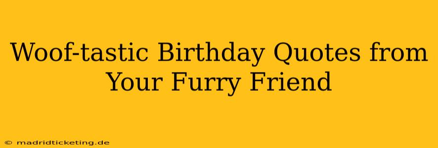 Woof-tastic Birthday Quotes from Your Furry Friend